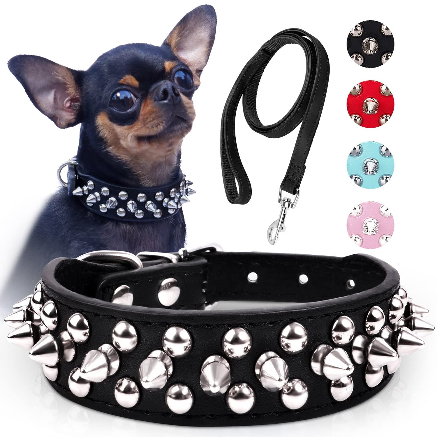 Collars and Leashes
