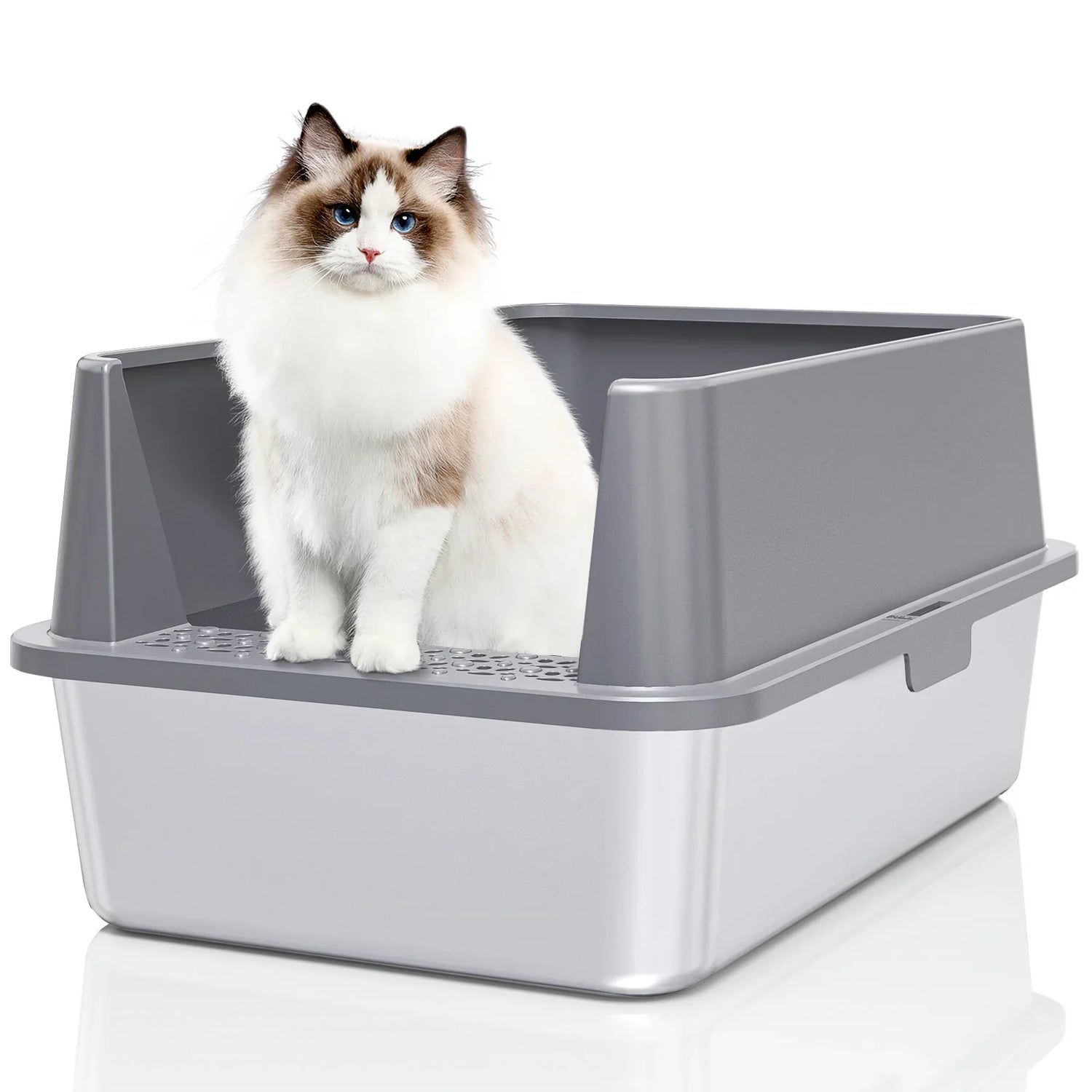 Litter Box